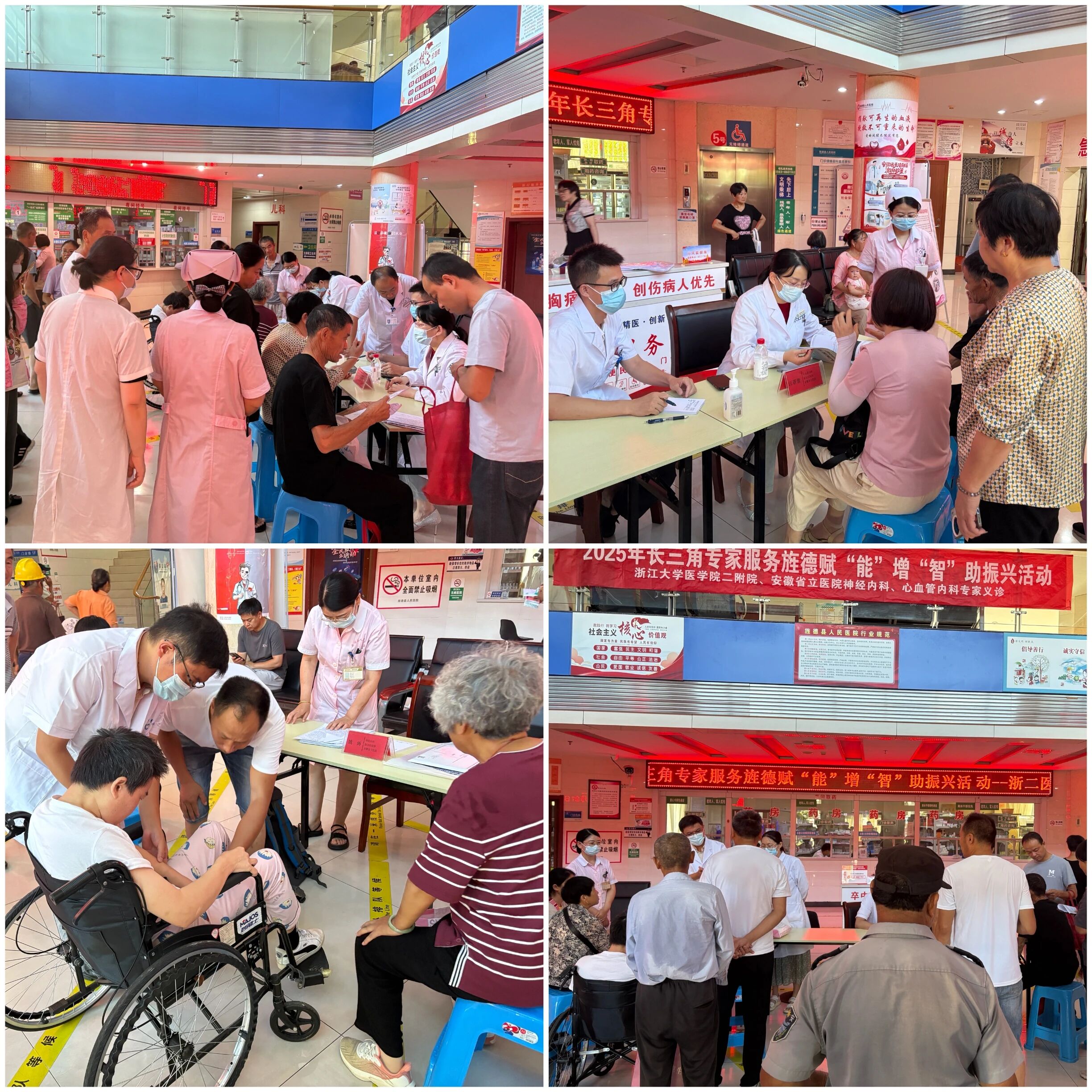 长三角专家服务旌德赋“能”增“智”助振兴活动圆满举行